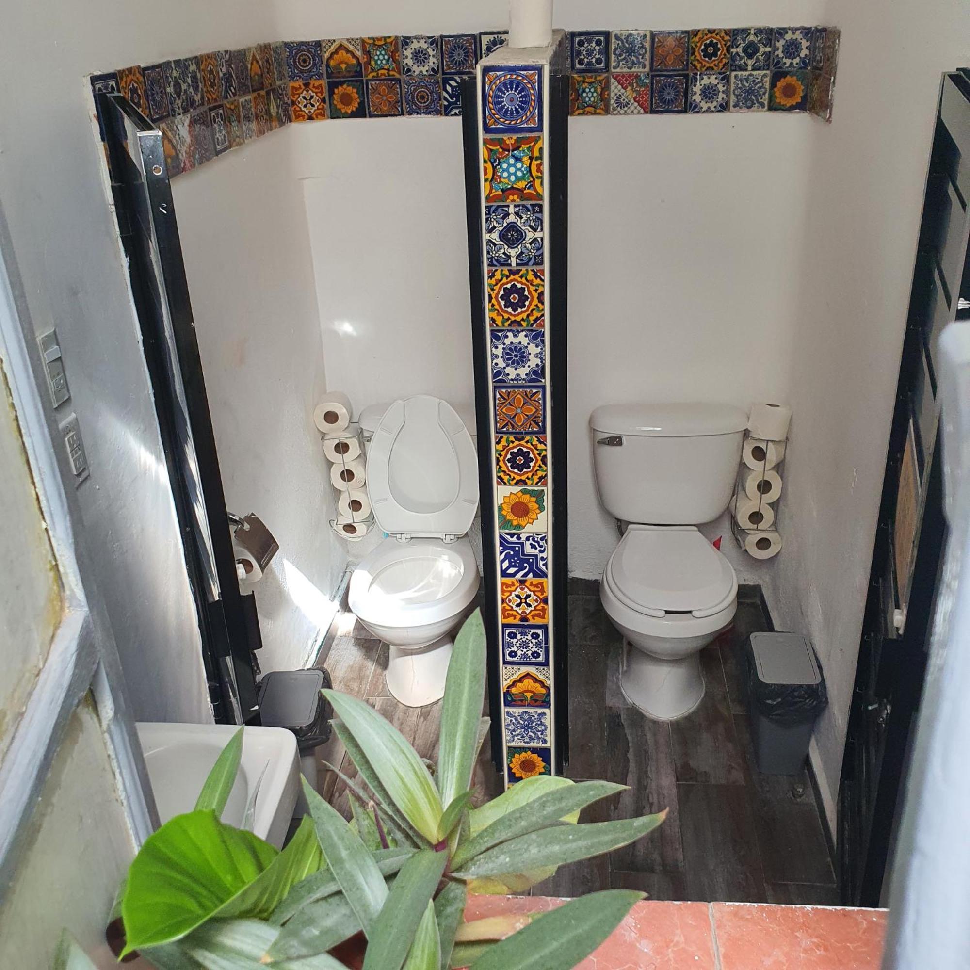סן לואיס פוטוסי Sukha Hostel San Luis מראה חיצוני תמונה
